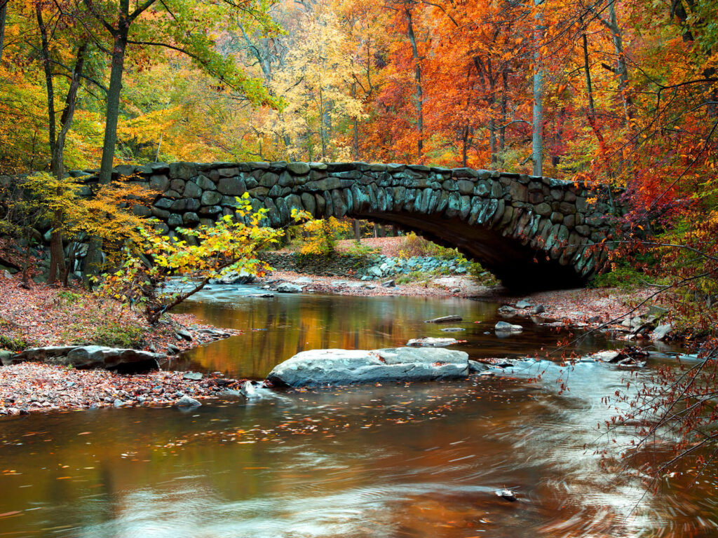 Retirement Community in Washington, DC - Ingleside at Rock Creek