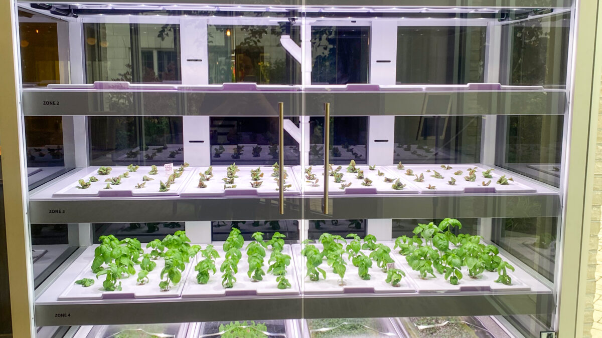 Front-facing view of Babylon Farms hydroponic garden.