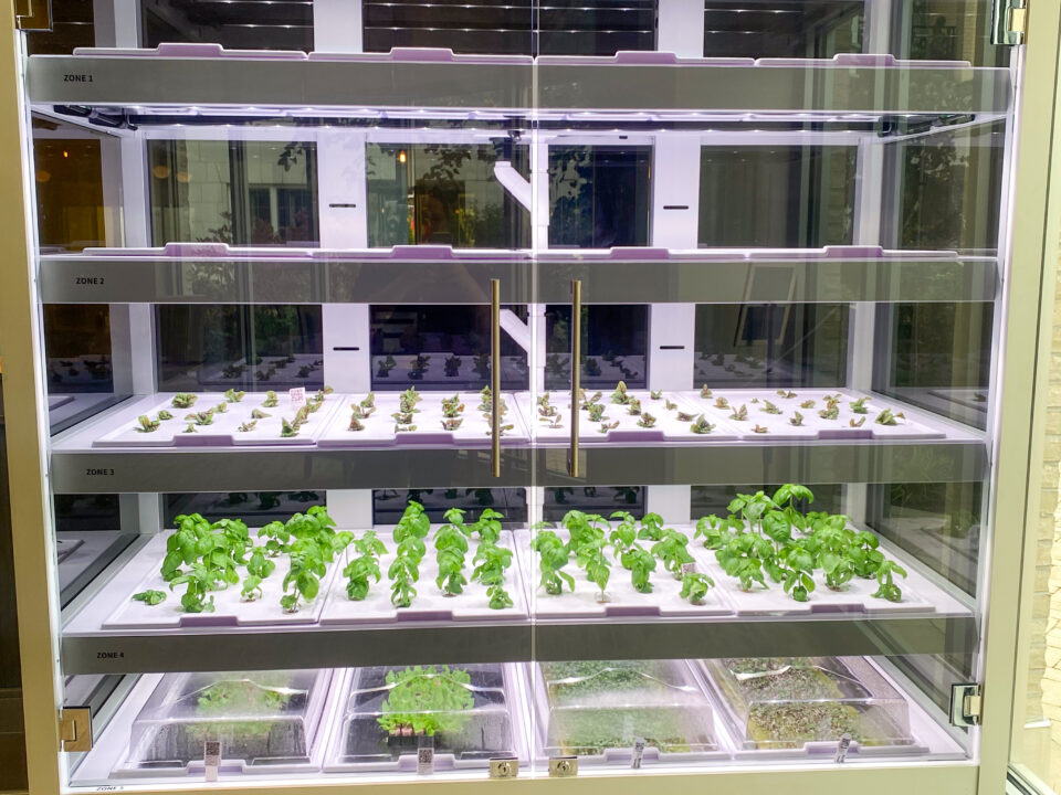 Front-facing view of Babylon Farms hydroponic garden.