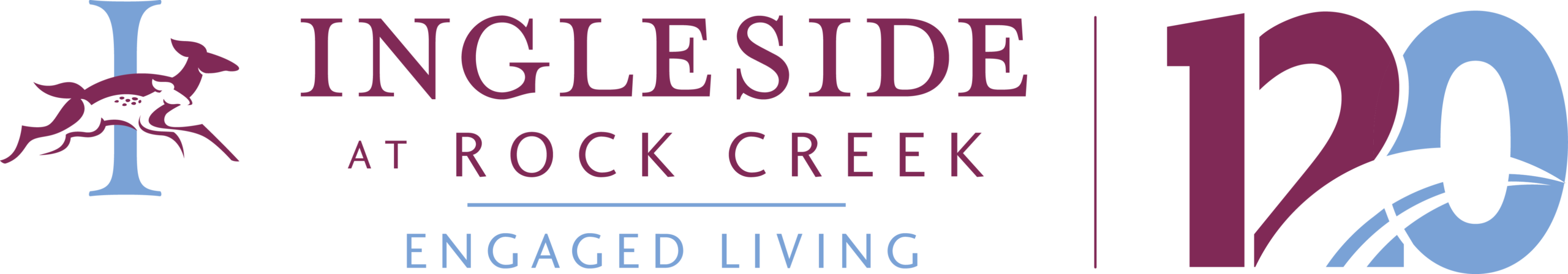 IRC 120th Anniversary logo